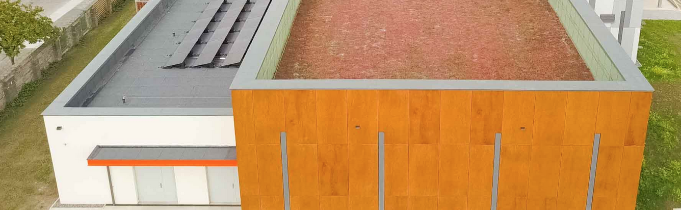 Screenshot-2021-02-17-at-13.07.47